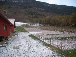 L'orto in inverno della Fattoria Antica Forconia Agriturismo in Abruzzo